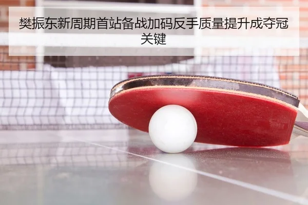 樊振东新周期首站备战加码反手质量提升成夺冠关键